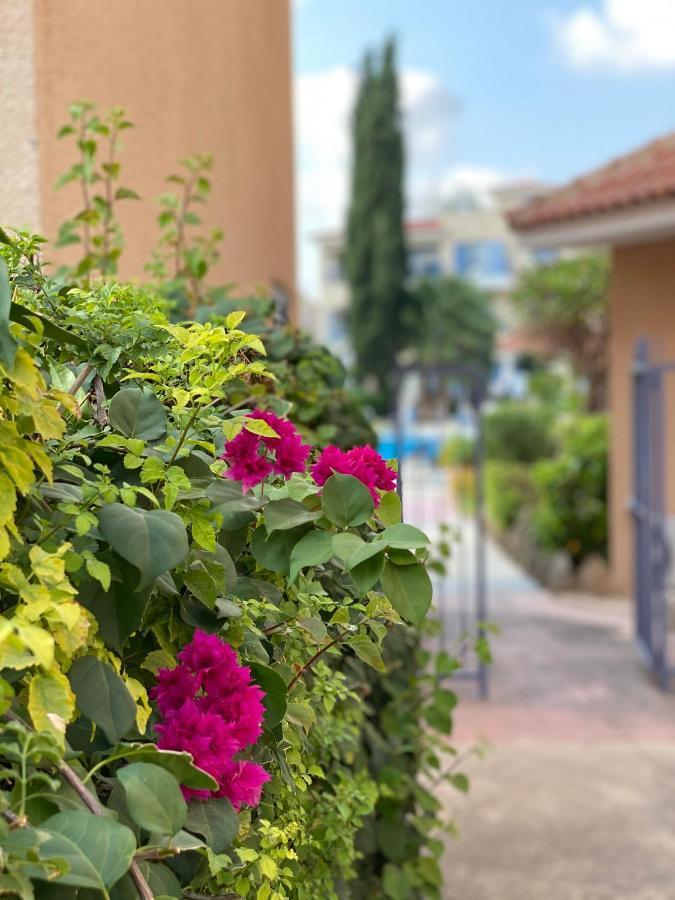 Paradise Gardens With A Large Terrace Pafos Dış mekan fotoğraf