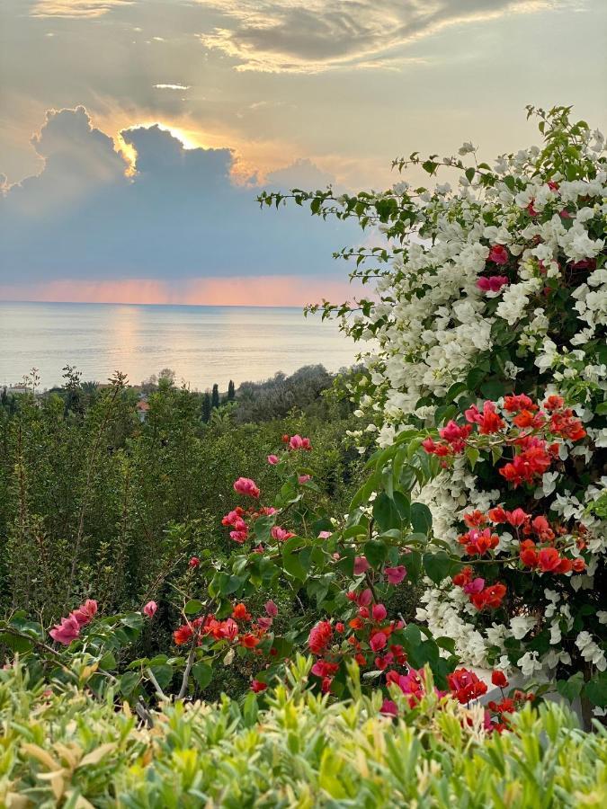Paradise Gardens With A Large Terrace Pafos Dış mekan fotoğraf
